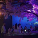 A Stylish New Restaurant Where Dinner Turns Into a Night Out