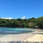 Winnifred Beach: The Locals-Only Guide”